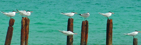 better life marriage relationship & divorce issues leadership coaches & coaching work-life business balance life coaches & coaching Lynnfield 01940, ma  Melrose 02176 Middleton 01949 Reading 01867 North Reading 01864 boston massachusetts