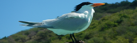 improve life marriage relationship issues leadership coach & coaching Andover 01810 ma Beverly 01915 Boxford 01921 Burlington 01803 Danvers 01923 Lexington 02420 Wakefield 01880 Winchester 01890 ma Woburn 01801 boston massachusetts