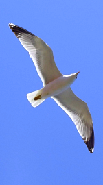 better life marriage relationship & divorce issues leadership coaches & coaching work-life business balance life coaches & coaching Lynnfield 01940, ma  Melrose 02176 Middleton 01949 Reading 01867 North Reading 01864 boston massachusetts