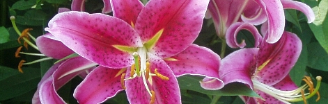 increase self esteem & confidence personal development work-life business balance life marriage relationship leadership coaches & coaching Lynnfield 01940, ma  Melrose 02176 ma Middleton 01949 Reading 01867 ma North Reading 01864 boston massachusetts